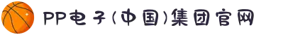 PP电子(中国)集团官网
